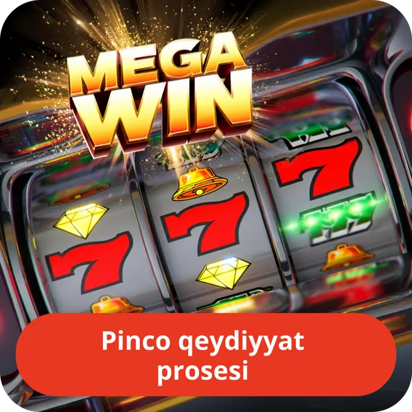 Pinco qeydiyyat prosesi